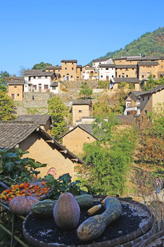 陽產(chǎn)土樓