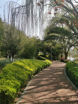 公園道路游路休閑步道景觀