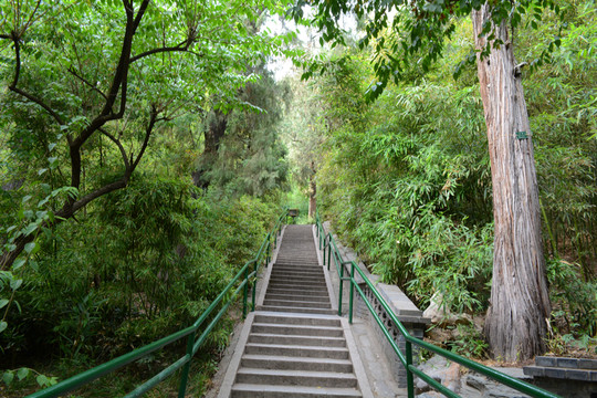 臺(tái)階