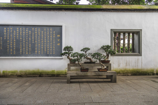 植物景觀墻
