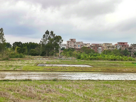 農(nóng)田