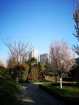 春暖花開
