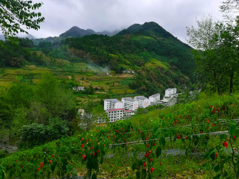 豐溪鎮(zhèn)二