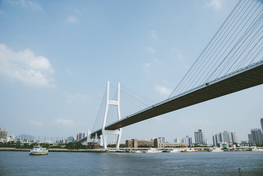 上海南浦大橋