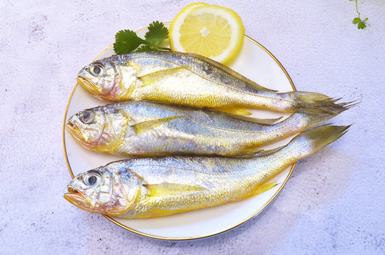 小黃魚(yú)