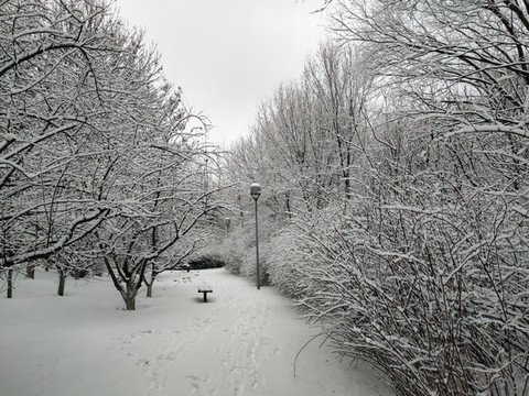 北京奧林匹克森林公園雪景