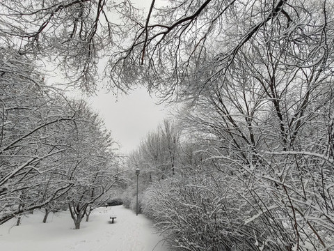 北京奧林匹克森林公園雪景