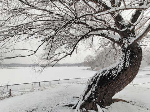 北京奧林匹克森林公園雪景