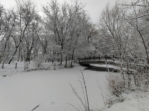 北京奧林匹克森林公園雪景
