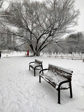 北京奧林匹克森林公園雪景