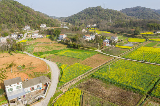 春天風(fēng)景