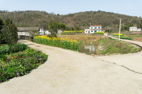 春天鄉(xiāng)村公路