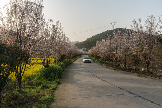 春天鄉(xiāng)村公路