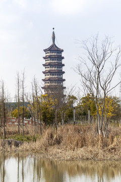 高旻寺古塔天中塔