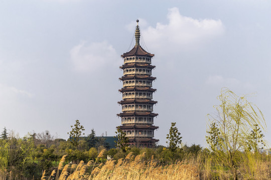 高旻寺古塔天中塔