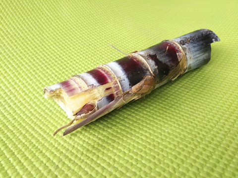 一節(jié)甘蔗