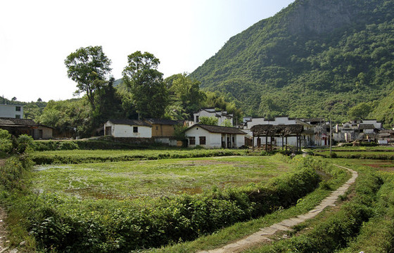江西婺源田園風(fēng)光