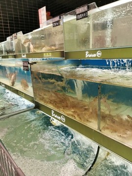 海鮮店的蝦子