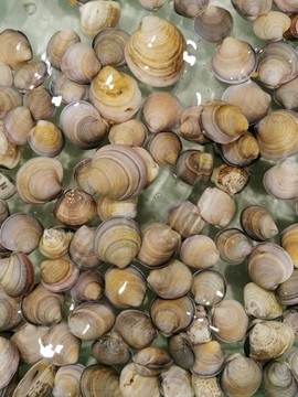 海鮮