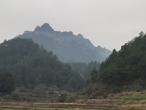 樹林及遠(yuǎn)山
