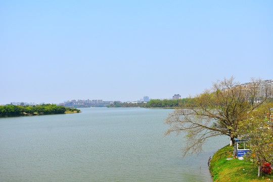 湖邊風(fēng)景