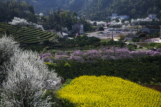 春暖花開