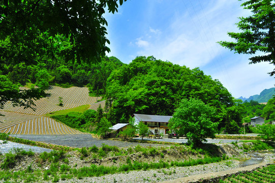 鎮(zhèn)坪地膜二