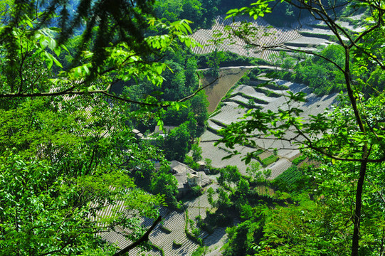 鎮(zhèn)坪地膜三