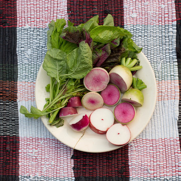 農(nóng)場大棚蔬菜