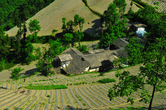 鎮(zhèn)坪地膜