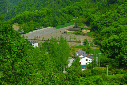 鎮(zhèn)坪地膜三