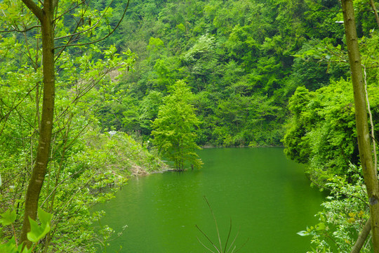 泉溪石河四