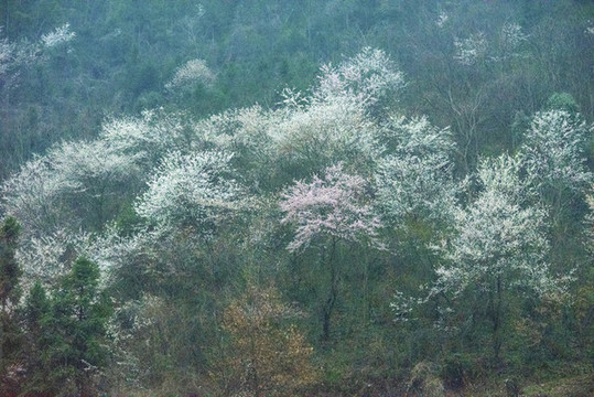 桃源風(fēng)光三