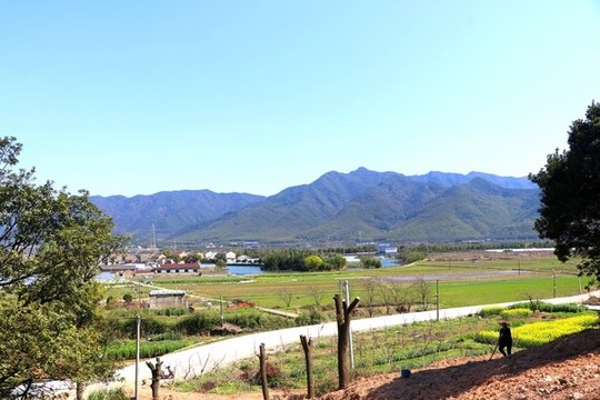 童橋
