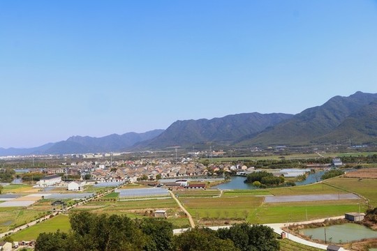 童橋