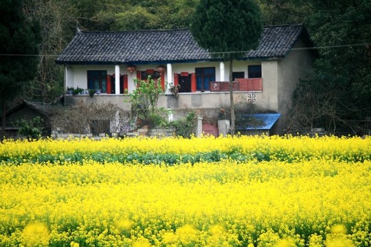 農(nóng)家春色