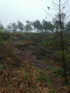 山體巖石