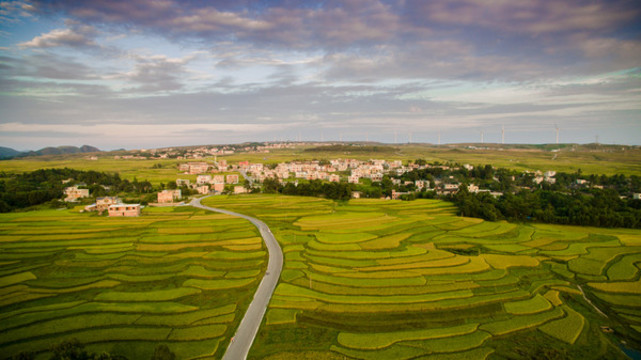 貴州高坡稻田梯田風景