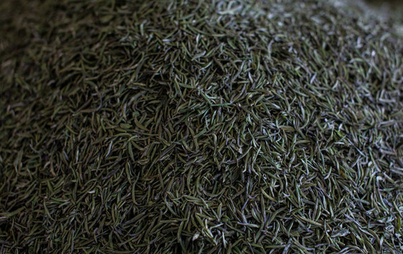 明前綠茶毛尖