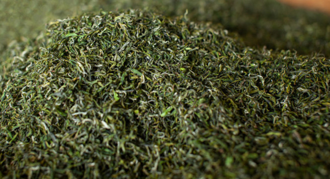 明前綠茶毛尖