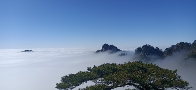 黃山