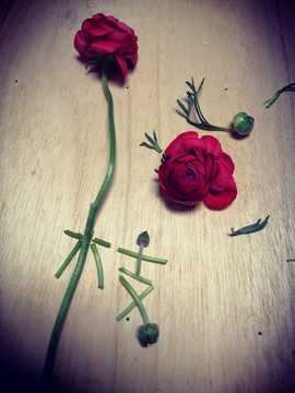 陸蓮花