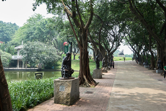 公園樹(shù)林休閑生活