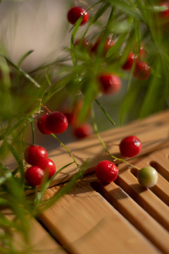 小紅果