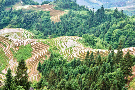 廣西地貌
