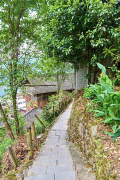 綠道