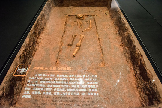 盤(pán)龍城楊家嘴26號(hào)墓碎器葬
