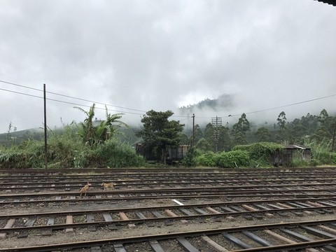 斯里蘭卡景色