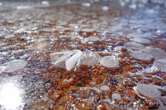 氣泡