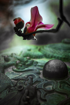 玉蘭花